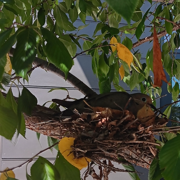 Stay Tuned ~ New Inventory Coming Soon! - Picture 6 of 9